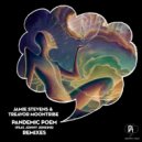 Jamie Stevens, Treavor Moontribe - Pandemic Poem (Intro Mix)