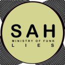 Ministry Of Funk - Lies (Deep Disco Mix)