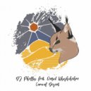 DJ Phellix, Omid Khoshchehre - Caracal Desert