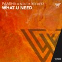 PAASHA, South Rocketz - What U Need (Original Mix)