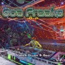 Goa Freaks - Shanti (Original Mix)
