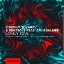 Eugenio Tokarev & Beatsole feat. Amin Salmee - Lonely Soul (Harpy Machine Extended Remix)