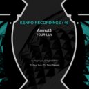 Anmut3 - Your Luv