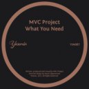 MVC Project - What You Need