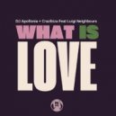 DJ Apollonia & Crazibiza Ft. Luigi - What Is Love Neighbours
