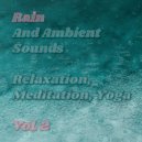 Nature Sounds & Rain Sounds & Nature Sounds Nature Music - Rain and Ambient Sounds, Pt. 6