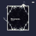 Theydream - Bicameral (Original Mix)