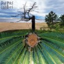 Reipas Longos - Espelho (Original Mix)