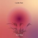 Cardier Buzt - Island adventures