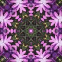 Ray Violet - Divine ()