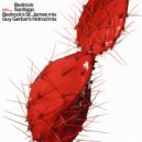 Bedrock - Santiago