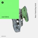 Josh Wink - New Years Day Acid (John Tejada remix)