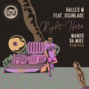 Hallex M Feat. Osunlade - Right Here (Manoo Abstrakt Remix)