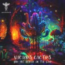 Vicious Cactus - Stairway To The Sesame Street (Original Mix)