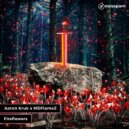 Aaron Kruk & MDFlameZ - Fireflowers (Original Mix)