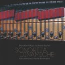 Charlie Bommarito - Morphogenic Field
