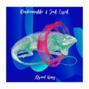 Räubermukke, Jack Essek - Lizard King (Original Mix)