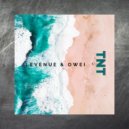 Levenue & Owei - TNT ()