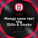 Грибы - Между нами тает лёд (DiGo & Smoke Remix Radio Version)