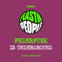 Federfunk - Is Underground