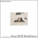Sleep BGM Mindfulness - Calming Water Sounds For Relaxation