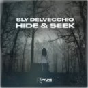 Sly Delvecchio - Hide & Seek