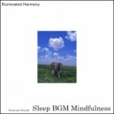 Sleep BGM Mindfulness - Peaceful Music For Meditation