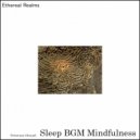 Sleep BGM Mindfulness - Serenity Symphony