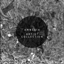 Amnesia - Freaky Boys