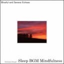 Sleep BGM Mindfulness - Angelic Echoes