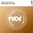 Vinny DeGeorge - Meaning of Life
