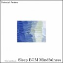 Sleep BGM Mindfulness - Cosmic Resonance