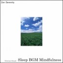 Sleep BGM Mindfulness - Blissful Rest