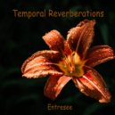 Entresee - Temporal Reverberations