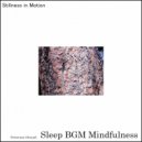 Sleep BGM Mindfulness - Peaceful Flute Music