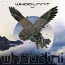Whoudini - Mintech