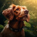 Sad LoFi Boy & Muggy Forecast & Dog Sleep Academy - Gentle Dog Lofi Tunes