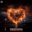 MEIRLIN , Raddix - Burning For You