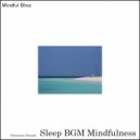 Sleep BGM Mindfulness - Quiet Comfort