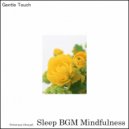 Sleep BGM Mindfulness - Soft & Serene Sleep