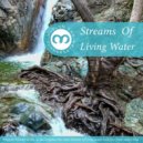 Muflon Dub Soundsystem - Streams Of Bubbling Water