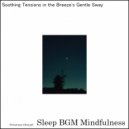 Sleep BGM Mindfulness - Basking in the Vibrations of Brainwaves, Stress Takes Flight