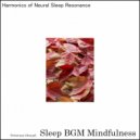 Sleep BGM Mindfulness - Quality Slumber Ushered by the Melodies of a Peaceful Forest