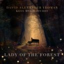 David Alexander Yeoman - Lady of the Forest (Radio Edit)