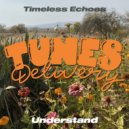 Timeless Echoes - Understand