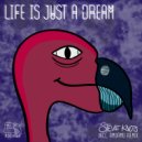 Steve Knots - Your Life Is Just A Dream (Original Mix)