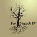 Suel - Planet Earth