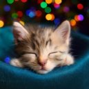 Gatos cascabeleo & Sonidos de lluvia y naturaleza & Suave Música para la Cena Familiar - Melodías Relajantes Para La Siesta ()