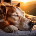 Biblioteca de Música Para Mascotas & Maestro de lo-fi cósmico & Gnees primeras ondas - Mascota Siesta Lofi Armonía ()