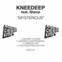 Knee Deep (feat. Shena) - Mysterious